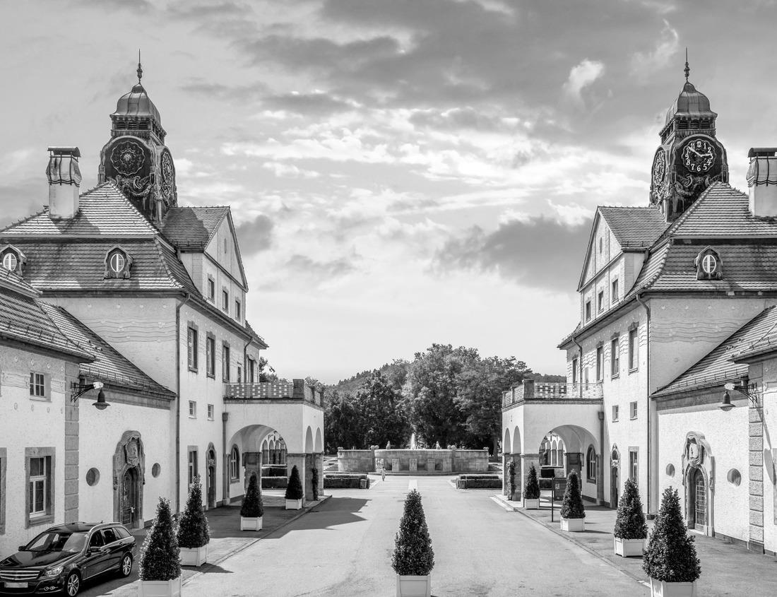 Noah Jigsaw Puzzle Mount Rainier National Park Hiking Trail Landscape, Old pine trees in foggy forest, southeast of Seattle, Washington, USA in black white 1000 pieces