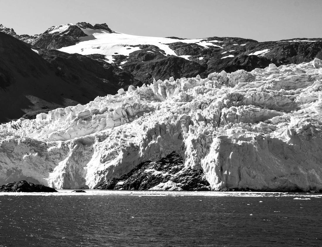 Noah Jigsaw Puzzle Jiquilpan is a municipality in the Mexican state of Michoacán. Its municipal seat is Jiquilpan de Juárez in black white 1000 pieces