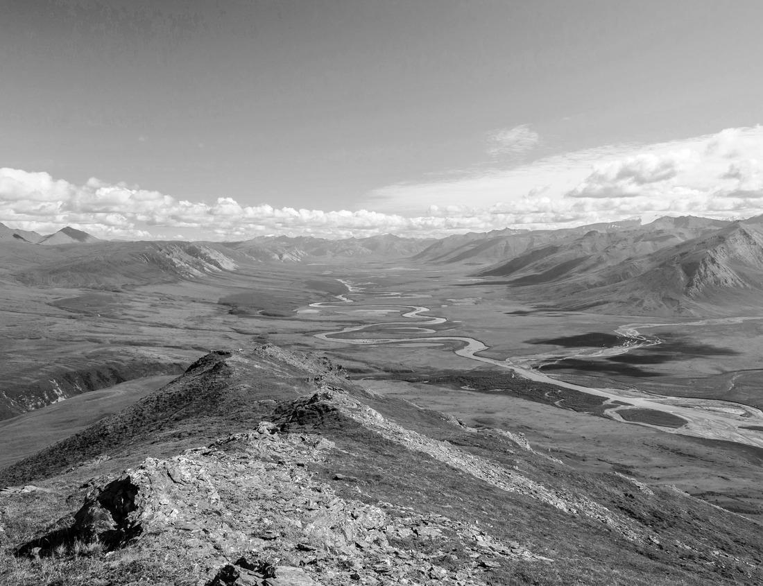 Noah Jigsaw Puzzle Aerial view of Ontario city in California with mountains in the background, California, USA in black white 1000 pieces