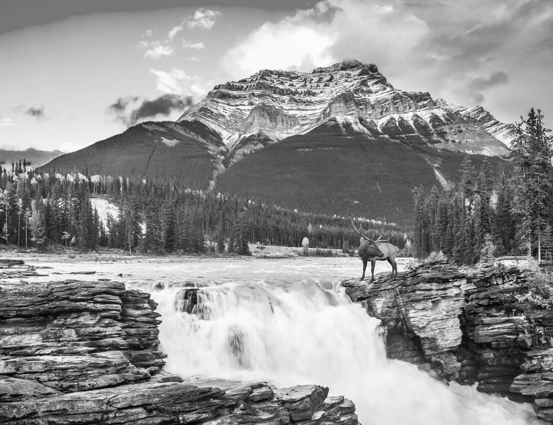 Noah Jigsaw Puzzle Rocky Mountain National Park in Colorado in black white 1000 pieces