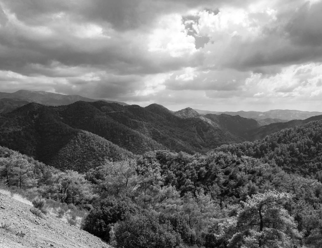 Noah Jigsaw Puzzle Aerial view in the fall in Oakland, California in black white 1000 pieces