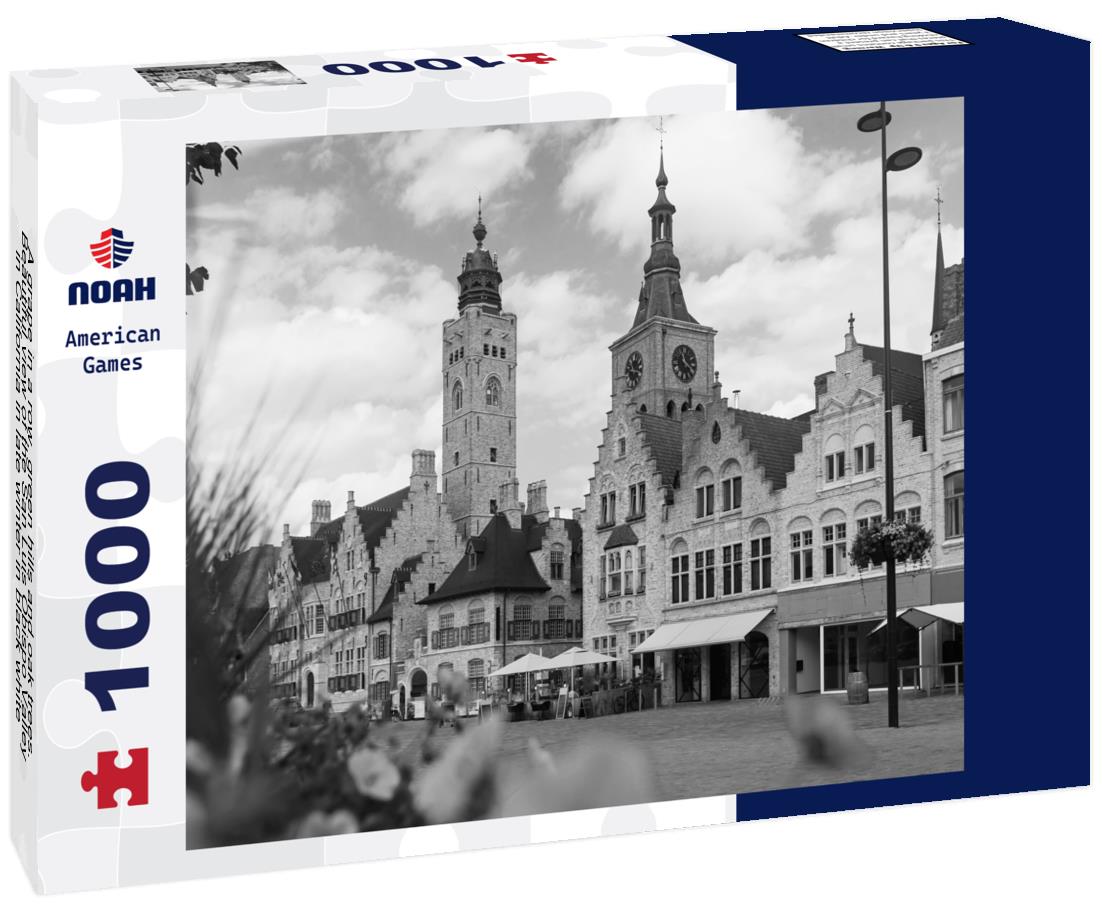 Noah Jigsaw Puzzle A grape in a row, green hills and oak trees. Beautiful view of the San Luis Obispo Valley in California in late winter in black white 1000 pieces