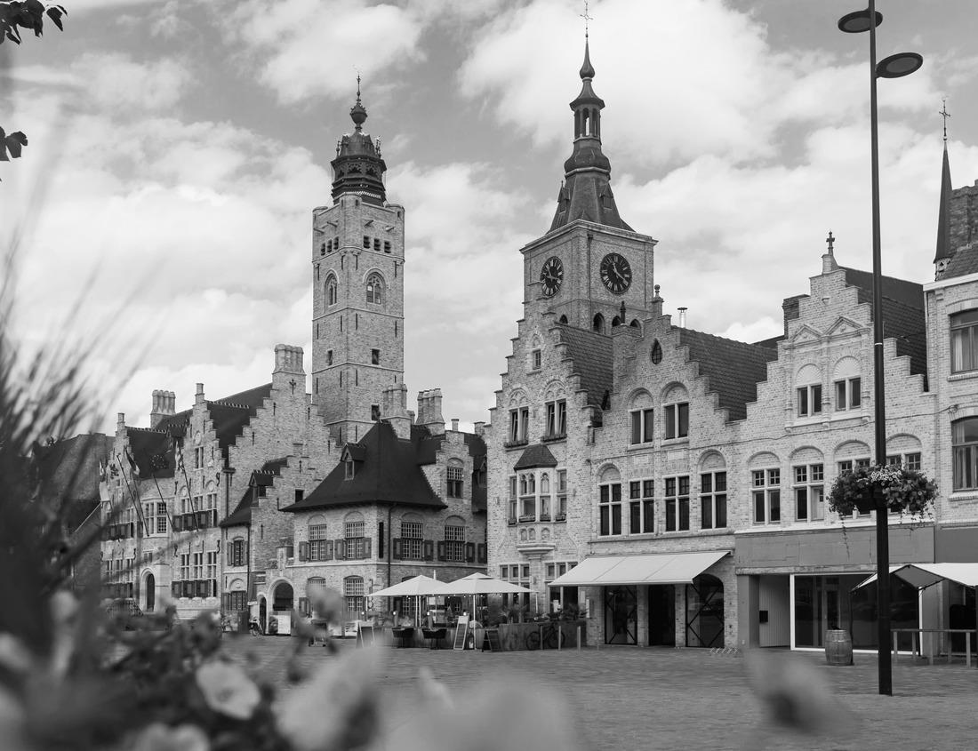 Noah Jigsaw Puzzle A grape in a row, green hills and oak trees. Beautiful view of the San Luis Obispo Valley in California in late winter in black white 1000 pieces
