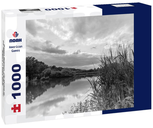 Noah Jigsaw Puzzle Bruges Belgium, city skyline at the Spiegelrei Canal with summer flowers in black white 1000 pieces