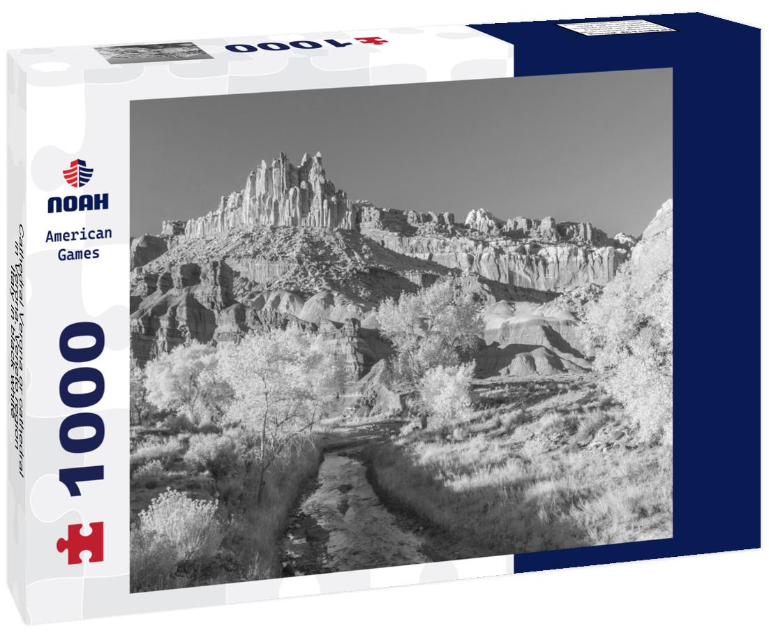 Noah Jigsaw Puzzle Cathedral Verona or cathedral in Verona, Veneto region, Italy in black white 1000 pieces