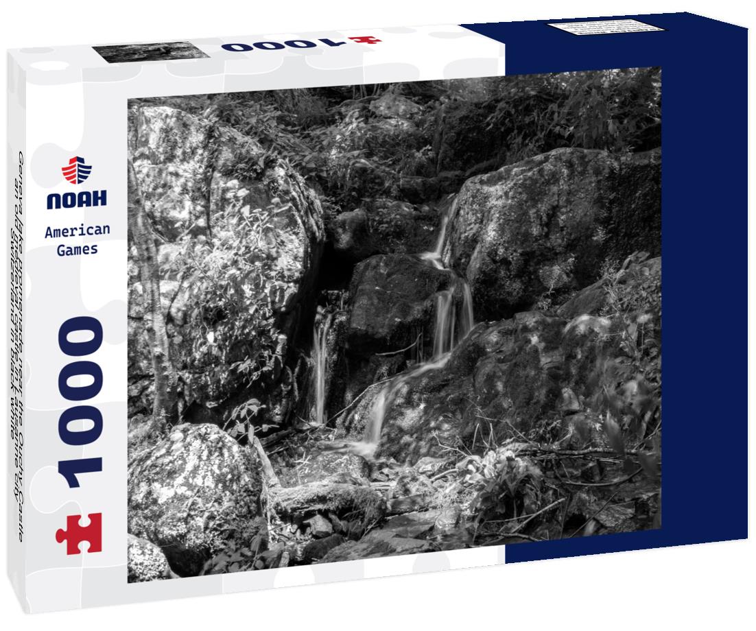 Noah Jigsaw Puzzle Geneva lake promenade near the Ouchy Castle, an old medieval castle in Lausanne city Switzerland in black white 1000 pieces