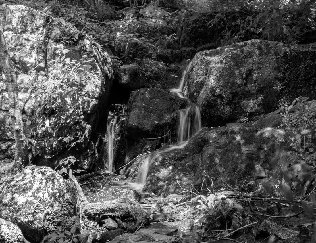 Noah Jigsaw Puzzle Geneva lake promenade near the Ouchy Castle, an old medieval castle in Lausanne city Switzerland in black white 1000 pieces