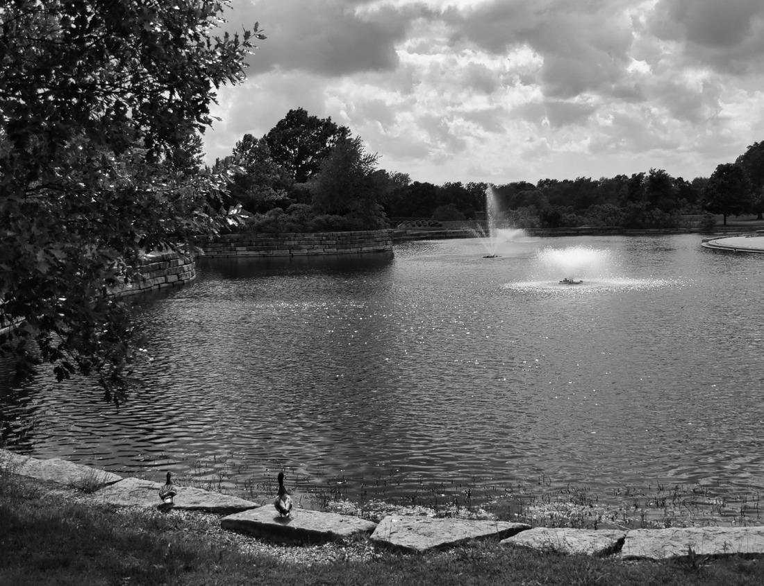 Noah Jigsaw Puzzle Aerial view of Currituck Beach Lighthouse and surrounding Corolla, North Carolina in the Outer Banks in black white 1000 pieces