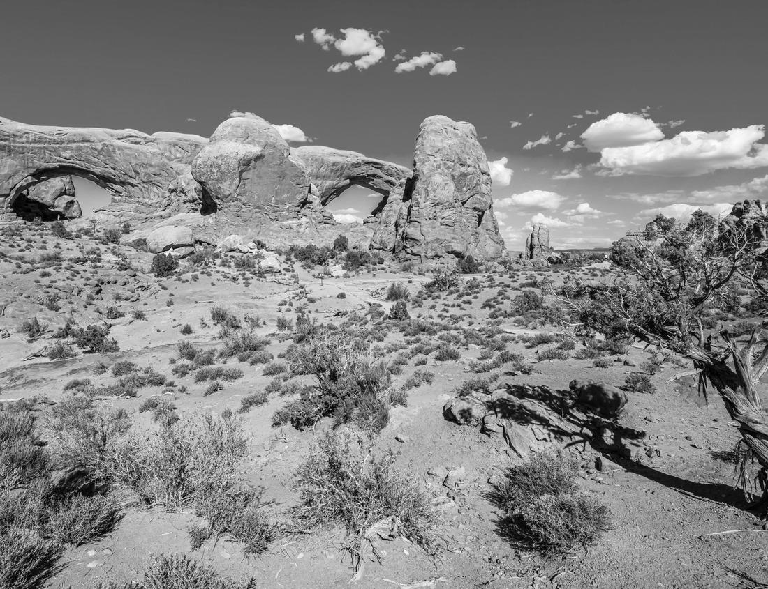 Noah Jigsaw Puzzle Excellent evening cityscape of Cefalu. Popular tourist destination in the Mediterranean. Location: Cefalu, Province of Palermo, Sicily, Italy in black white 1000 pieces