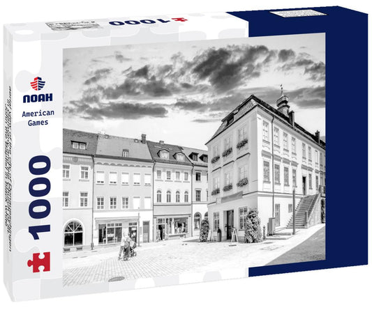 Noah Jigsaw Puzzle aerial view of the city of Donaueschingen in Germany and the Church of St. John the Baptist in black white 1000 pieces