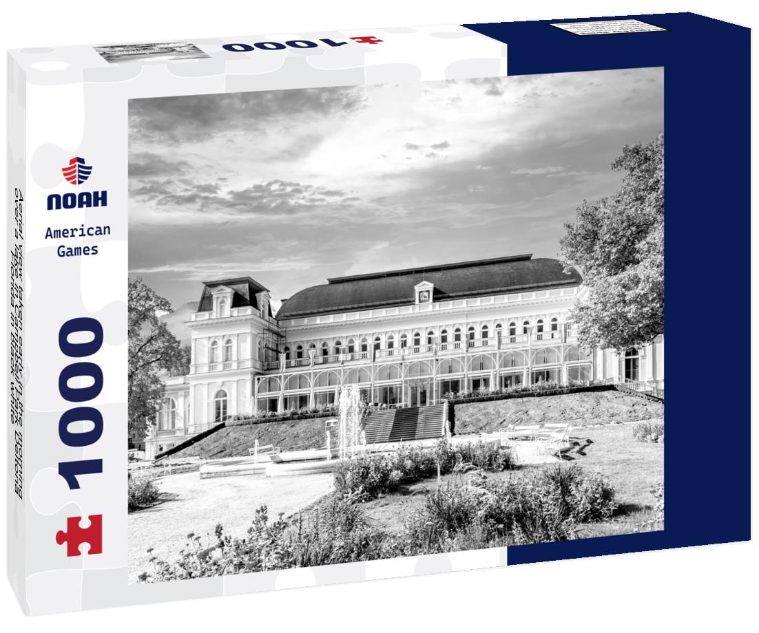 Noah Jigsaw Puzzle Aerial view taken early in the morning over a lake in Campbell Park Deltona, Florida in black white 1000 pieces