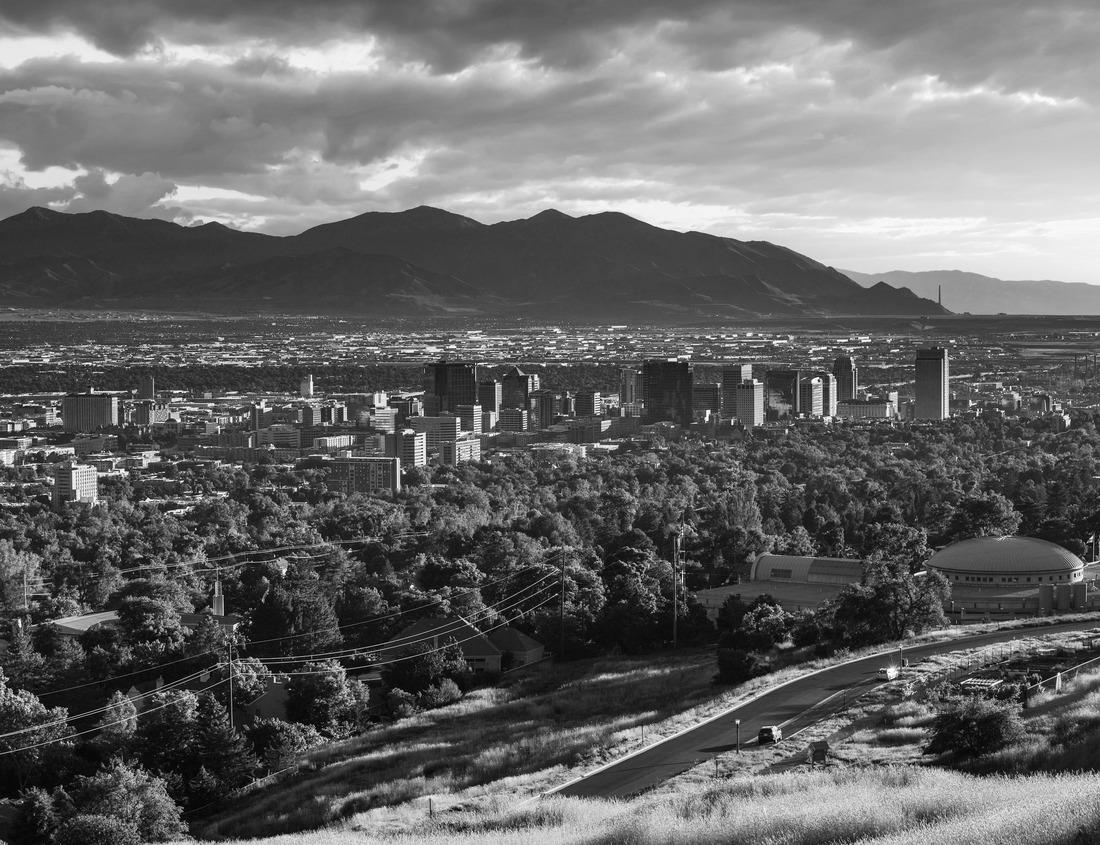 Noah Jigsaw Puzzle the aerial view of Holywell beach, a huge beach of golden sand covered by grass dunes in black white 1000 pieces
