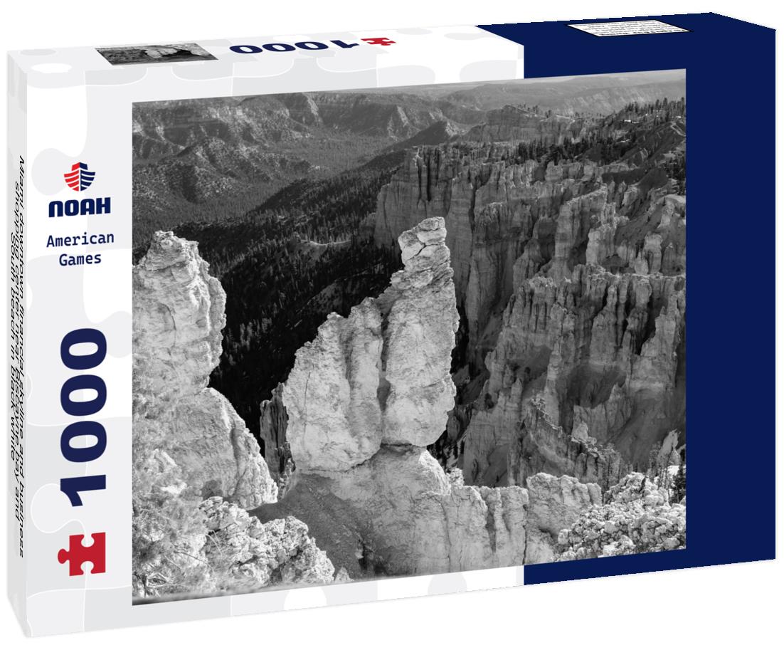 Noah Jigsaw Puzzle Miami downtown financial skyline and business shopping center near Biscayne bay and South beach in black white 1000 pieces