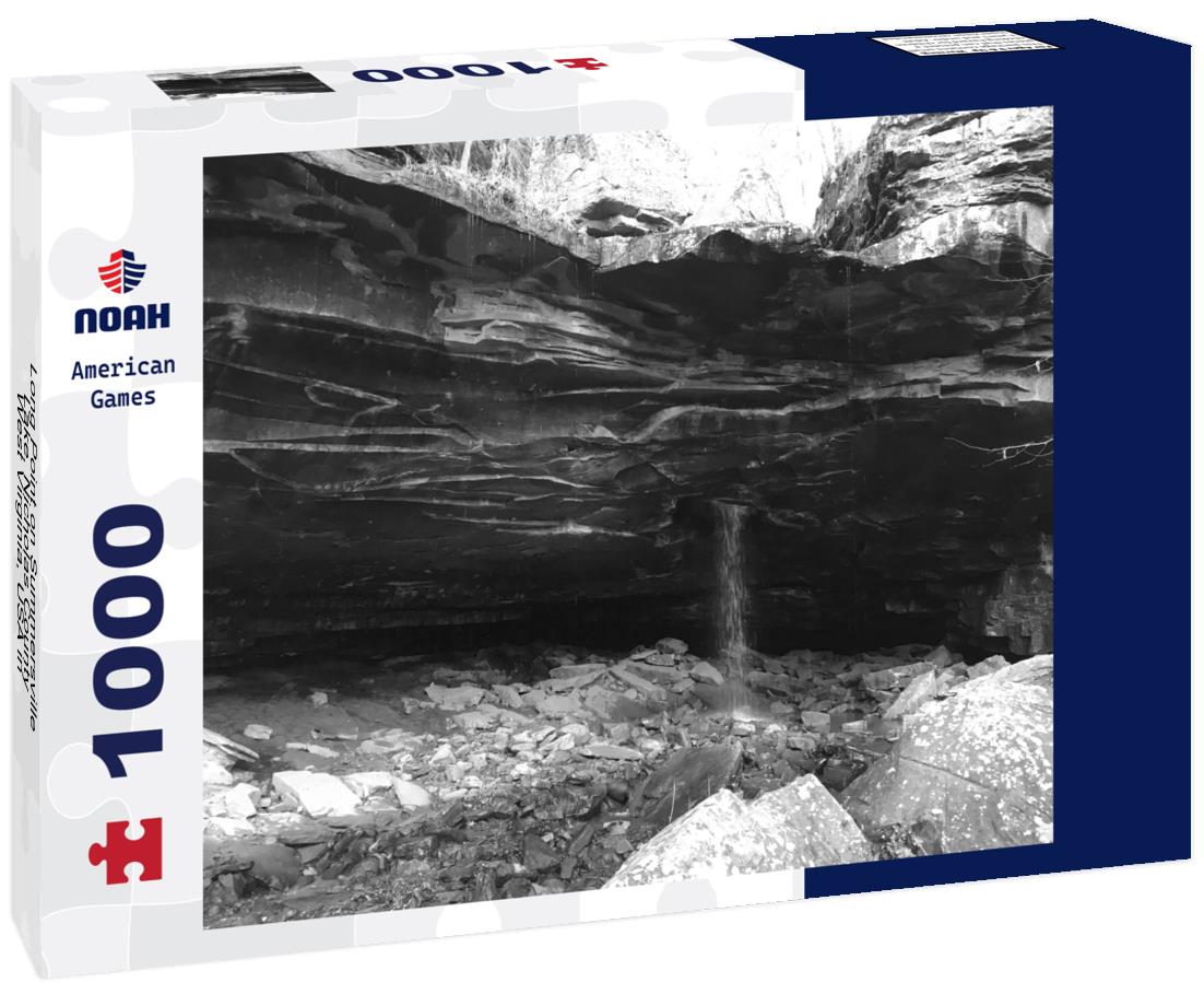 Noah Jigsaw Puzzle Long Point on Summersville Lake, Nicholas County, West Virginia, USA in black white 1000 pieces