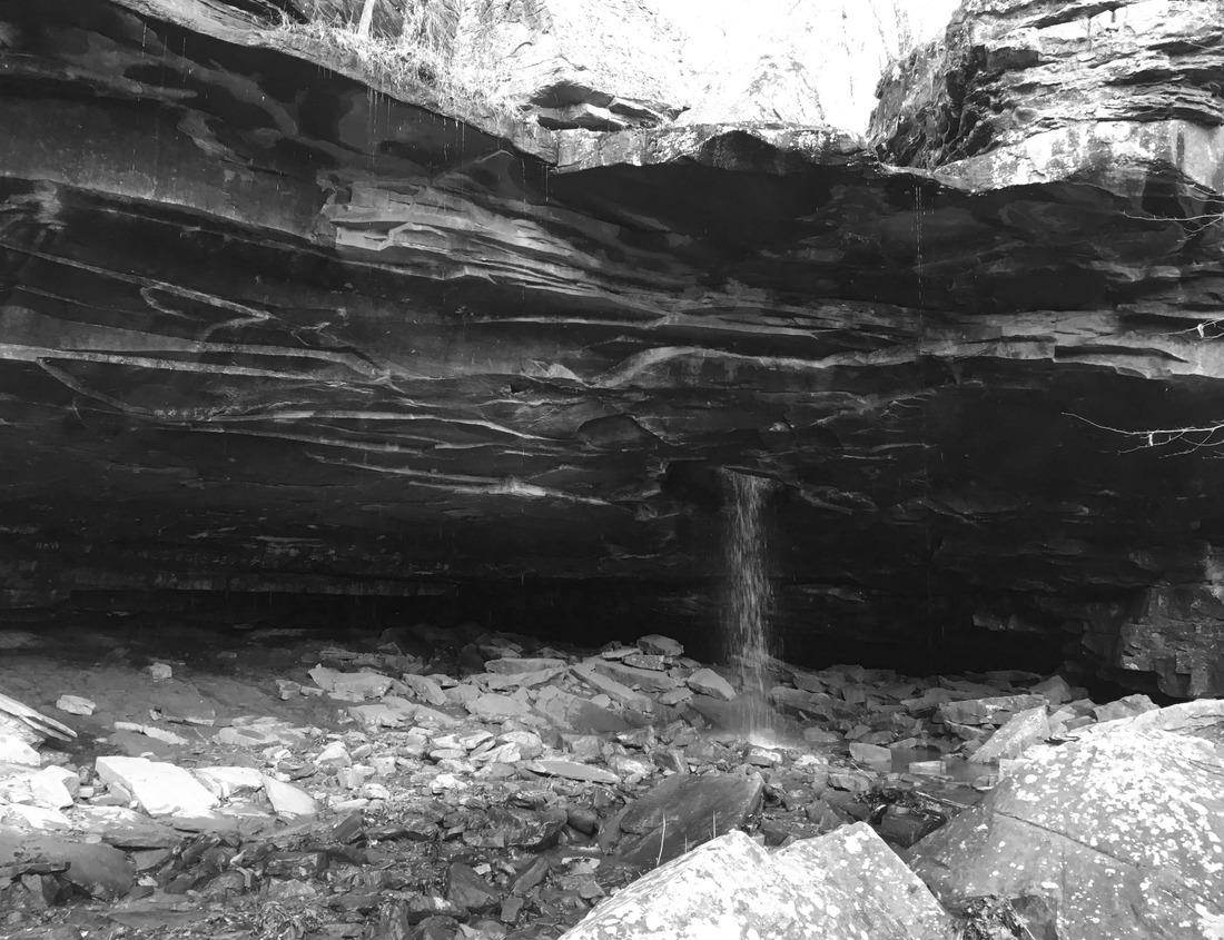 Noah Jigsaw Puzzle Long Point on Summersville Lake, Nicholas County, West Virginia, USA in black white 1000 pieces