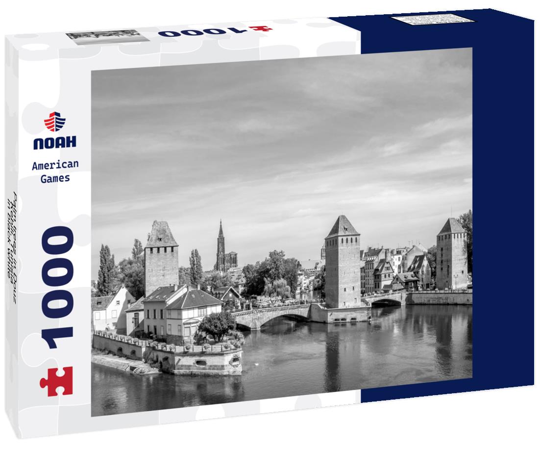 Noah Jigsaw Puzzle Palm trees in Douz, Kebili, Tunisia in black white 1000 pieces