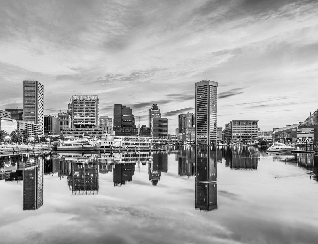 Noah Jigsaw Puzzle Downtown Fort Collins, Colorado in Autumn in black white 1000 pieces