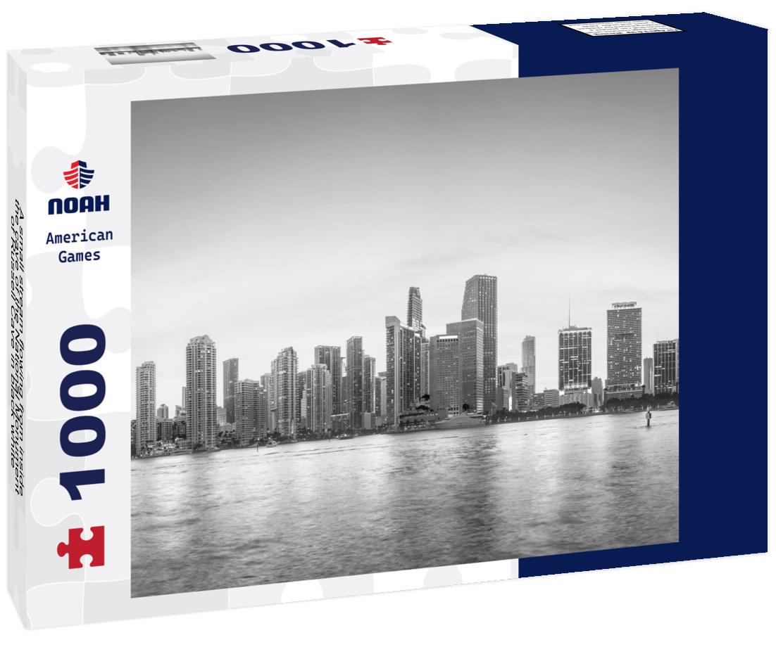 Noah Jigsaw Puzzle A small stream flowing from inside the cave of the National Monument of Russell Cave in black white 1000 pieces