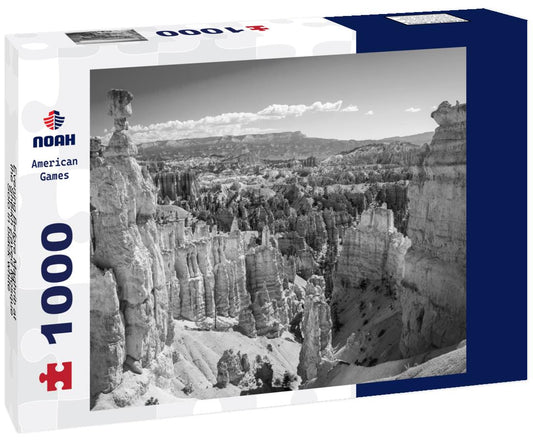 Noah Jigsaw Puzzle Evening Before Maghrib at the Sheikh Zayed Mosque, Solo in black white 1000 pieces