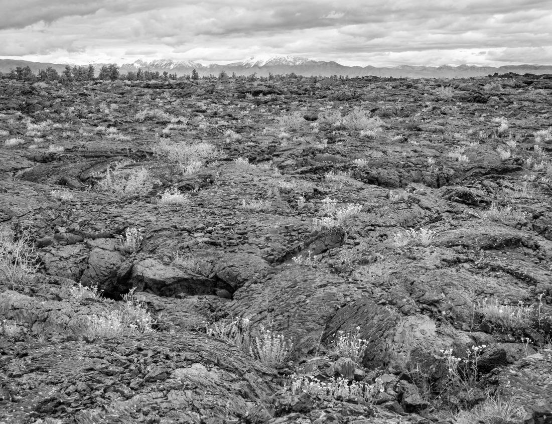 Noah Jigsaw Puzzle Providence, Rhode Island, USA downtown cityscape viewed from above the Providence River in black white 1000 pieces