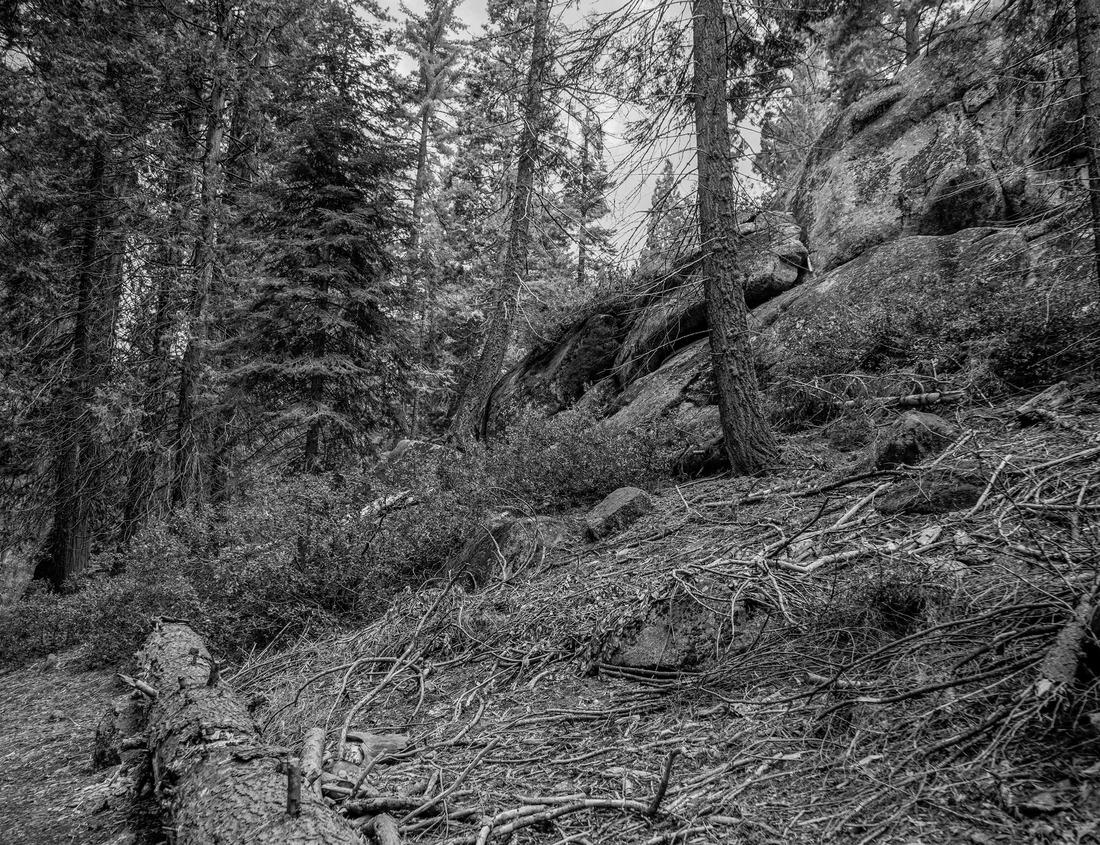 Noah Jigsaw Puzzle Picturesque rocky peaks of the Glacier National Park, Montana, USA. Beautiful natural landscapes in black white 1000 pieces