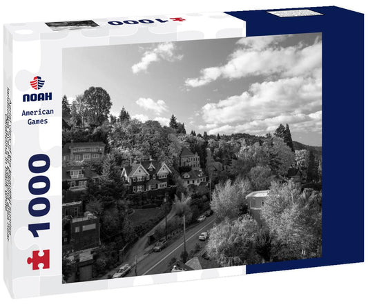 Noah Jigsaw Puzzle Aerial view of the beautiful sunrise landscape over the Edmond area near Oklahoma in black white 1000 pieces