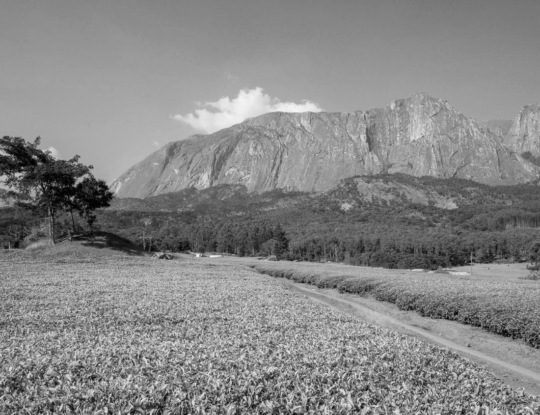 Noah Jigsaw Puzzle The El Masri Dam in Grombalia, Tunisia. North Africa in black white 1000 pieces