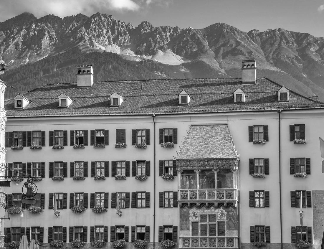 Noah Jigsaw Puzzle Live oak trees with lots of hanging moss, Black Bayou Lake National Wildlife Refuge, Louisiana in black white 1000 pieces