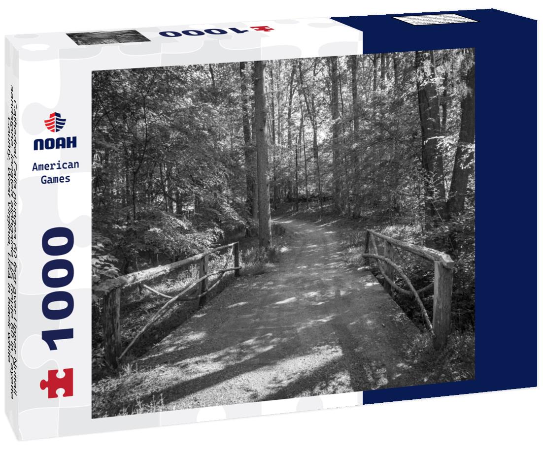 Noah Jigsaw Puzzle Cathedral Falls plunges 60 feet over Upper Nuttall sandstone, located alongside US Route 60 in Fayette County, West Virginia, USA in black white 1000 pieces