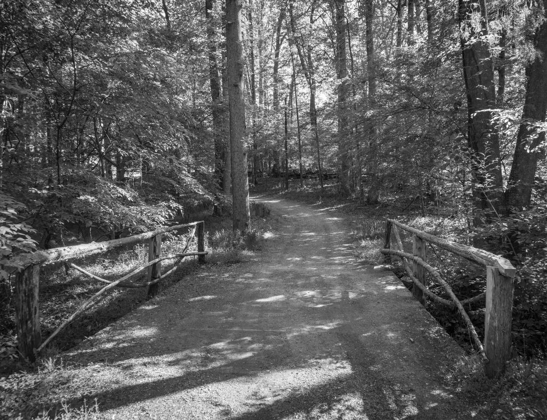 Noah Jigsaw Puzzle Cathedral Falls plunges 60 feet over Upper Nuttall sandstone, located alongside US Route 60 in Fayette County, West Virginia, USA in black white 1000 pieces