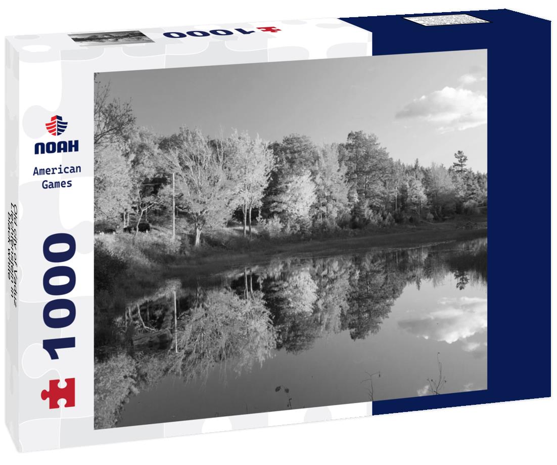 Noah Jigsaw Puzzle Old city of Vaduz, Liechtenstein in black white 1000 pieces