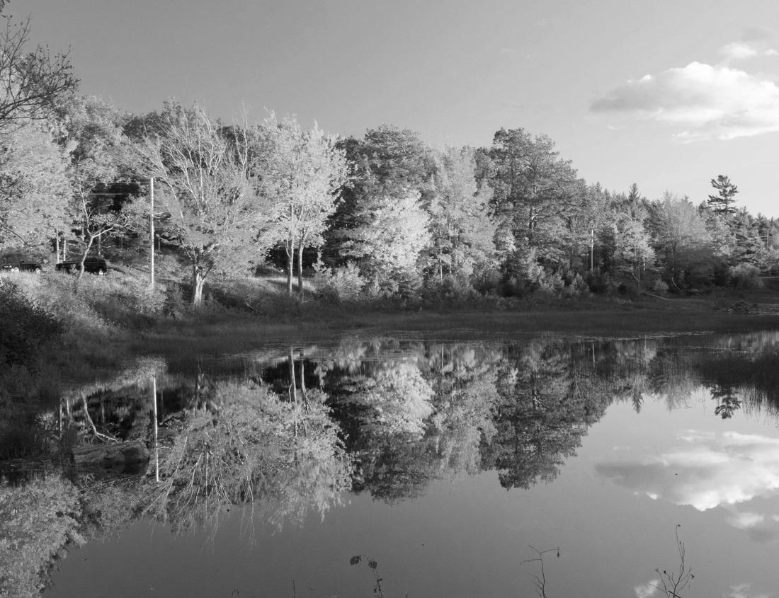 Noah Jigsaw Puzzle Old city of Vaduz, Liechtenstein in black white 1000 pieces