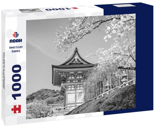 Noah Jigsaw Puzzle Old Medina of Mahdia, Tunisia in black white 1000 pieces