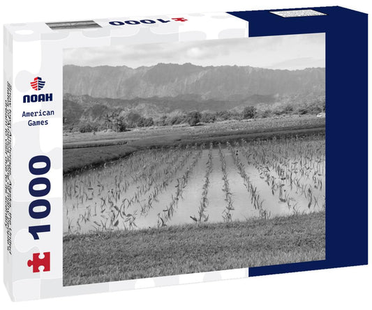 Noah Jigsaw Puzzle Snow town Anchorage, Alaska, the United States of America is one of many people's dream to visit due to its scenery, culture, culinary in black white 1000 pieces