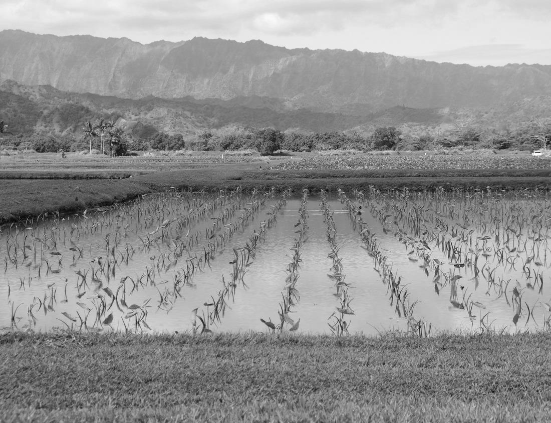 Noah Jigsaw Puzzle Snow town Anchorage, Alaska, the United States of America is one of many people's dream to visit due to its scenery, culture, culinary in black white 1000 pieces