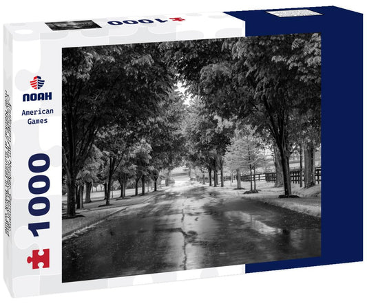 Noah Jigsaw Puzzle Esslingen am Neckar, Germany. Cityscape of the medieval town and river Neckar at sunset in black white 1000 pieces