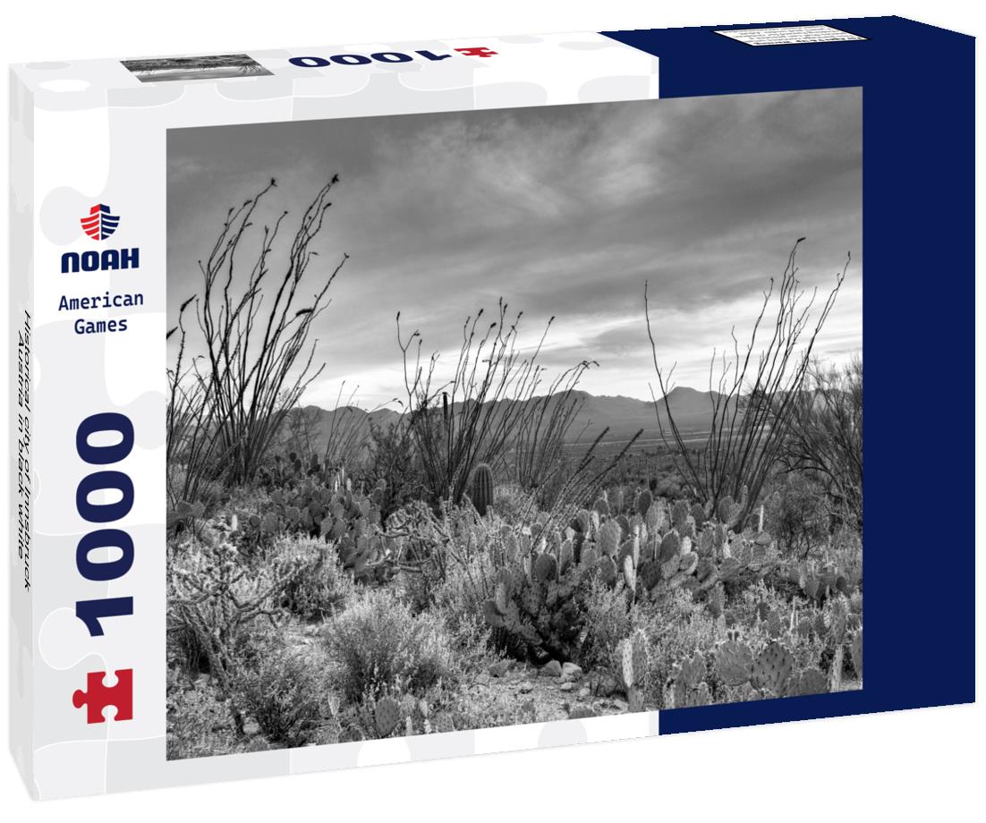 Noah Jigsaw Puzzle Historical city of Innsbruck, Austria in black white 1000 pieces