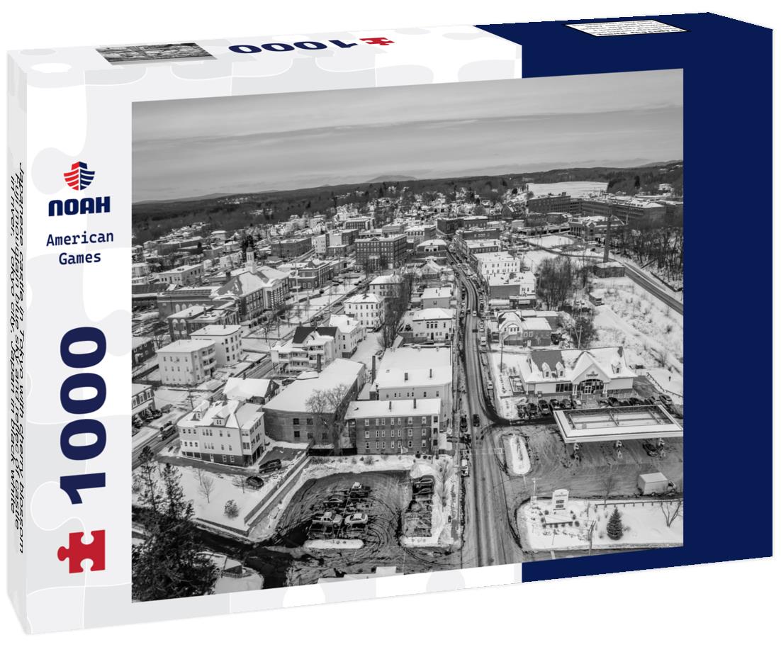 Noah Jigsaw Puzzle Japanese castle in Tokyo with cherry blossom, Fuji mountain blue sky and reflec of castle in river, Tokyo city, Japan in black white 1000 pieces