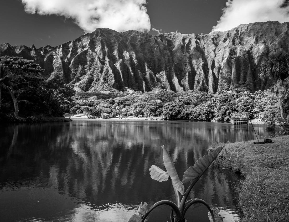 Noah Jigsaw Puzzle Cathedral of Palma de Mallorca, Spain in black white 1000 pieces