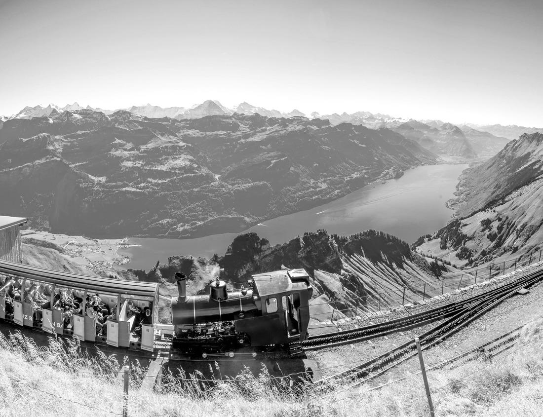 Noah Jigsaw Puzzle Providence, Rhode Island, USA historic New England architecture with early autumn foliage in black white 1000 pieces