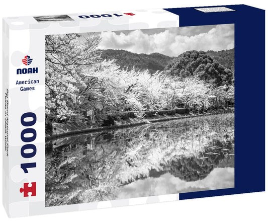 Noah Jigsaw Puzzle Big Bend National Park, Texas in black white 1000 pieces