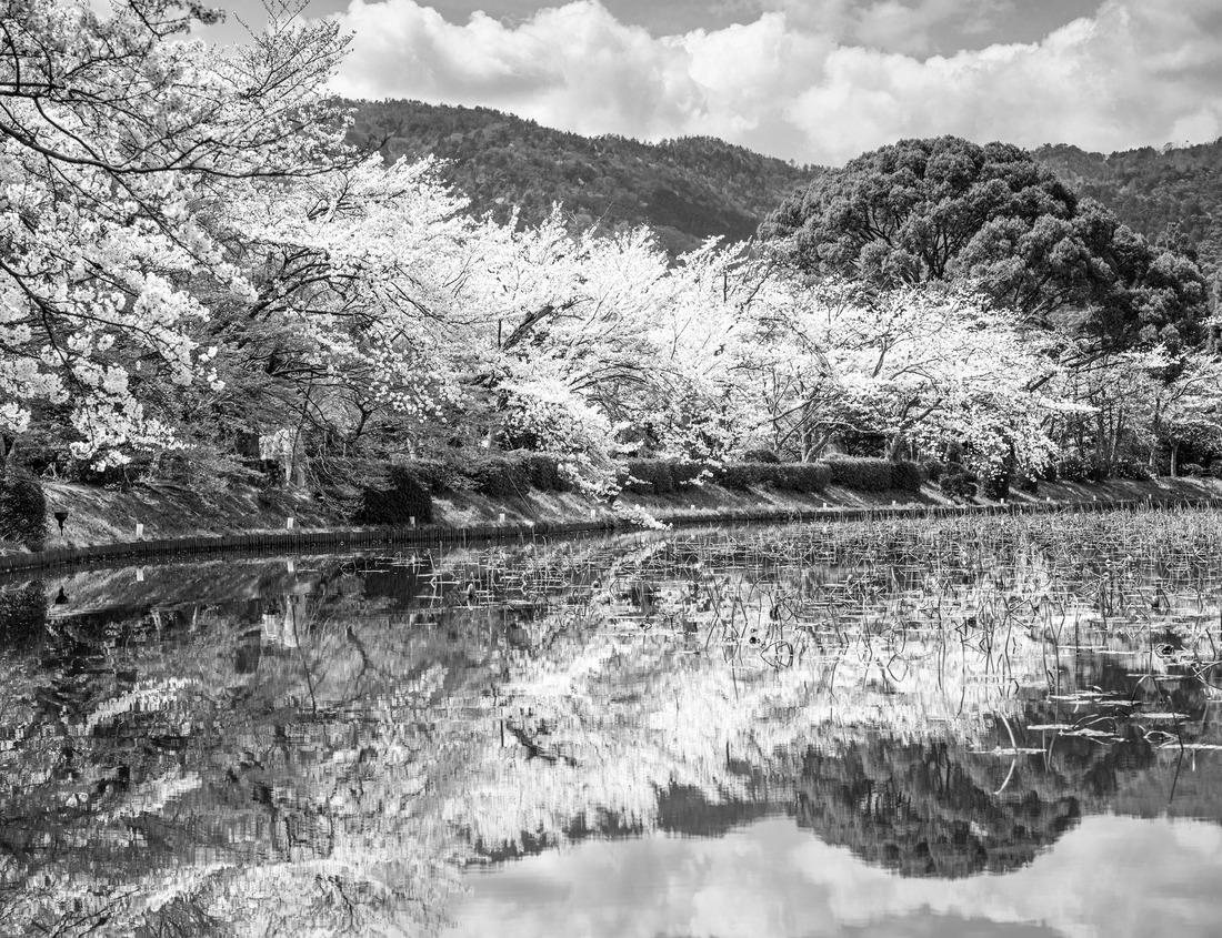Noah Jigsaw Puzzle Big Bend National Park, Texas in black white 1000 pieces