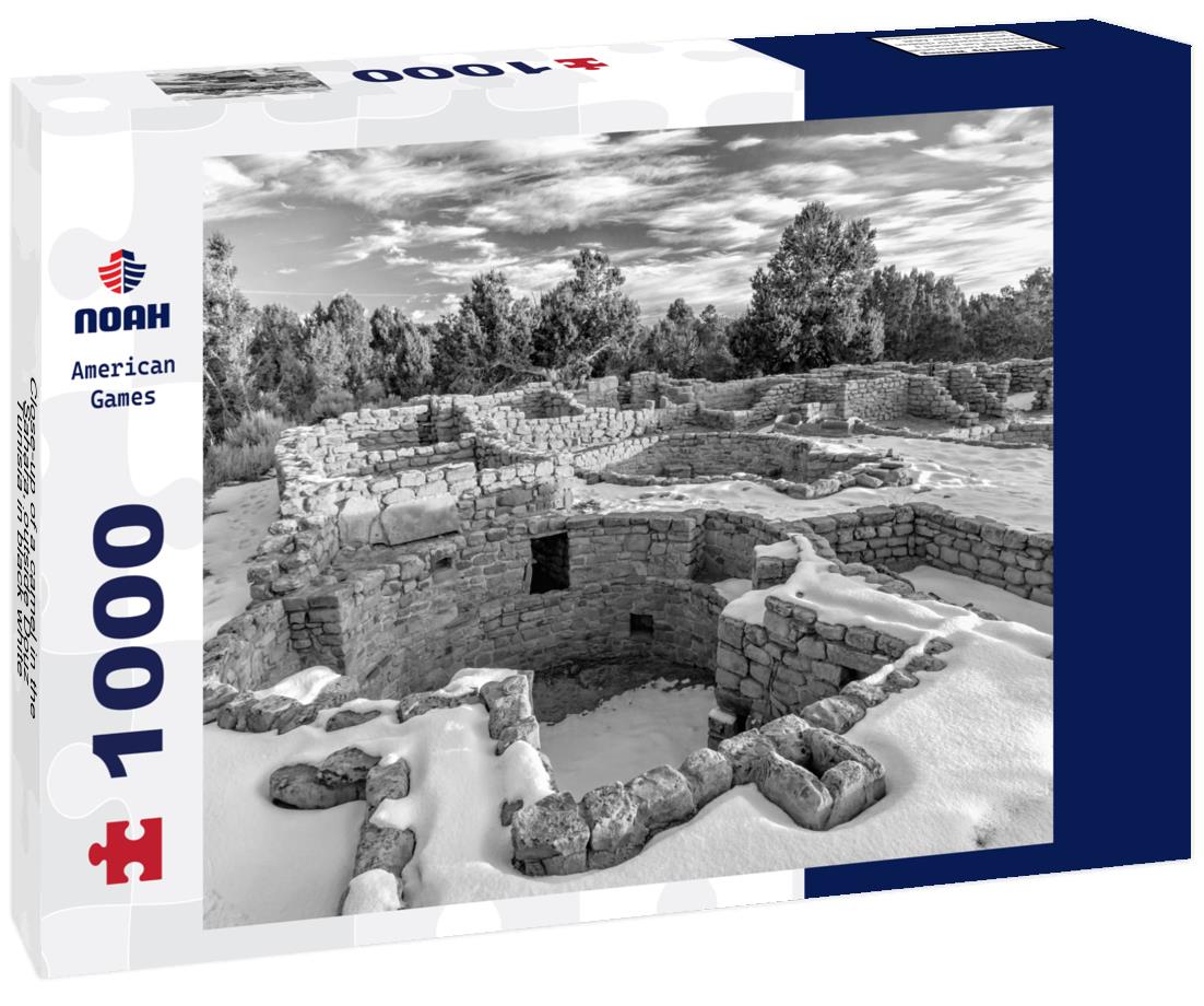 Noah Jigsaw Puzzle Close-up of a camel in the Sahara, outside Douz, Tunisia in black white 1000 pieces