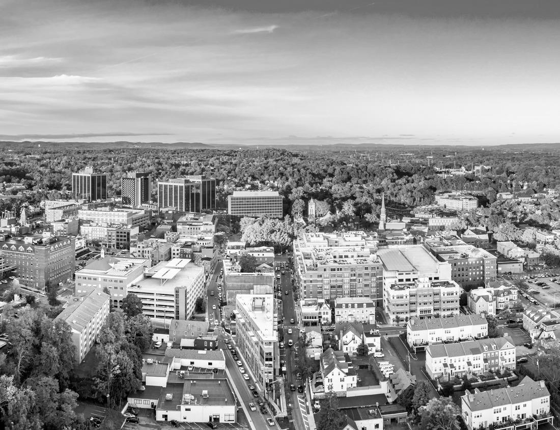 Noah Jigsaw Puzzle Aerial view of the Alabama capital of Montgomery in black white 1000 pieces