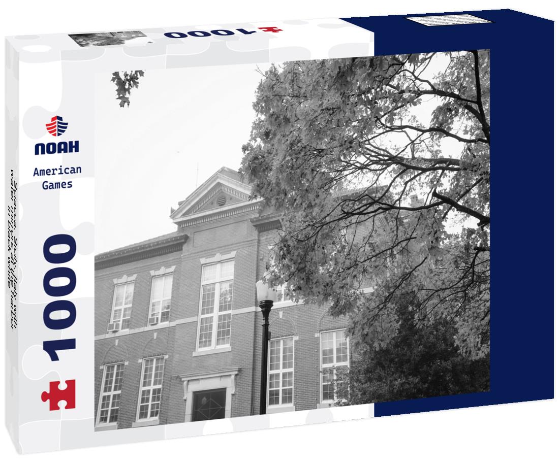 Noah Jigsaw Puzzle Sciacca, Sicily, Italy with water mirrors at the harbor in black white 1000 pieces