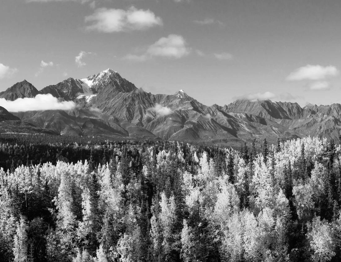 Noah Jigsaw Puzzle Amistad National Recreation Area, Texas in black white 1000 pieces