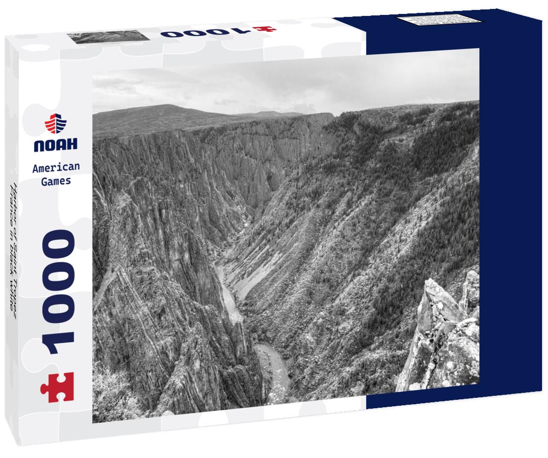 Noah Jigsaw Puzzle Harbor of Saint Tropez, France in black white 1000 pieces