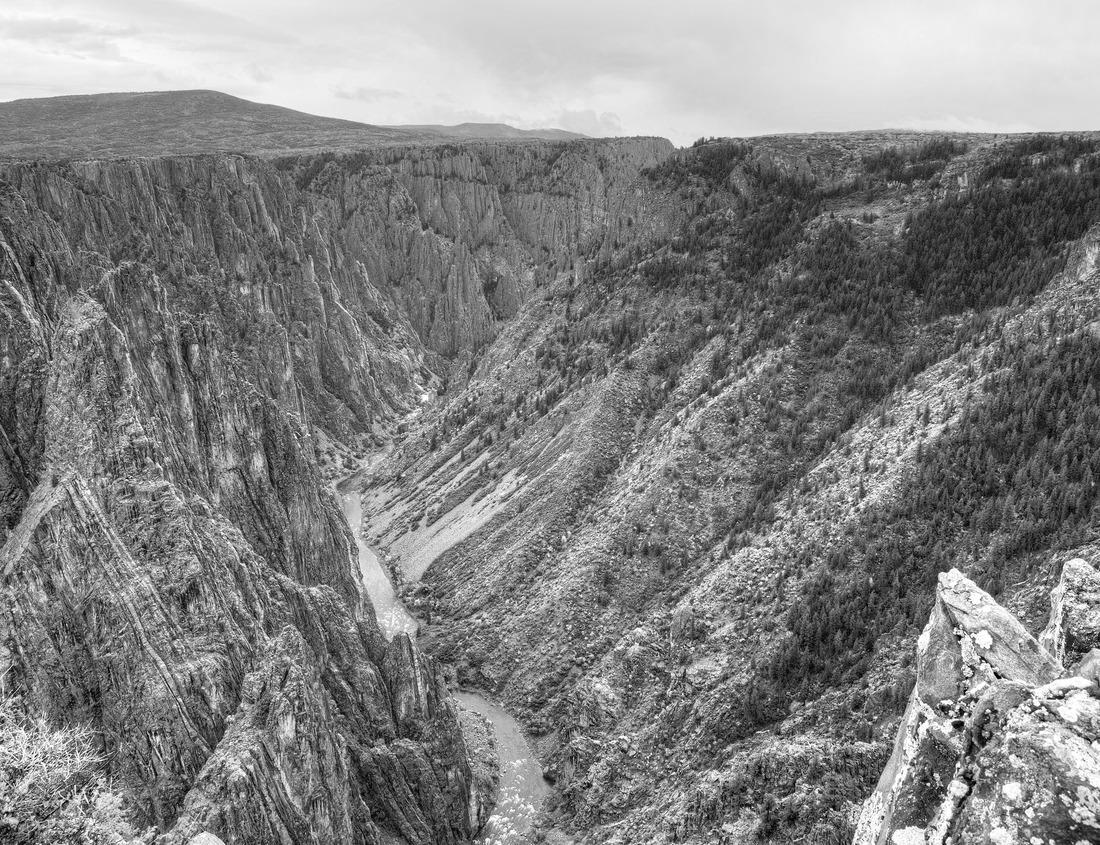 Noah Jigsaw Puzzle Harbor of Saint Tropez, France in black white 1000 pieces
