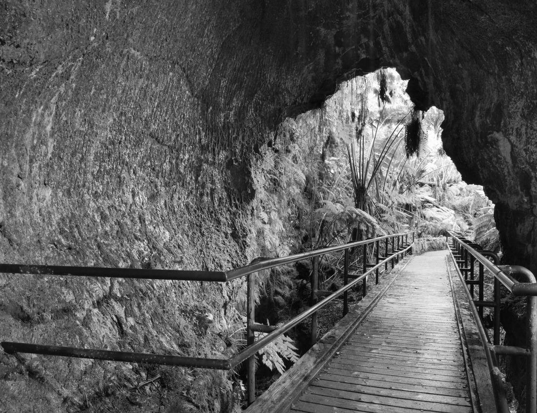 Noah Jigsaw Puzzle Namibia Dunes sunrise in Desert in black white 1000 pieces