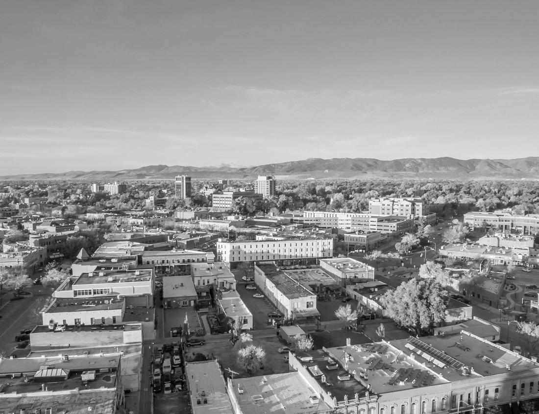 Noah Jigsaw Puzzle Athens, Georgia, USA at dawn in black white 1000 pieces